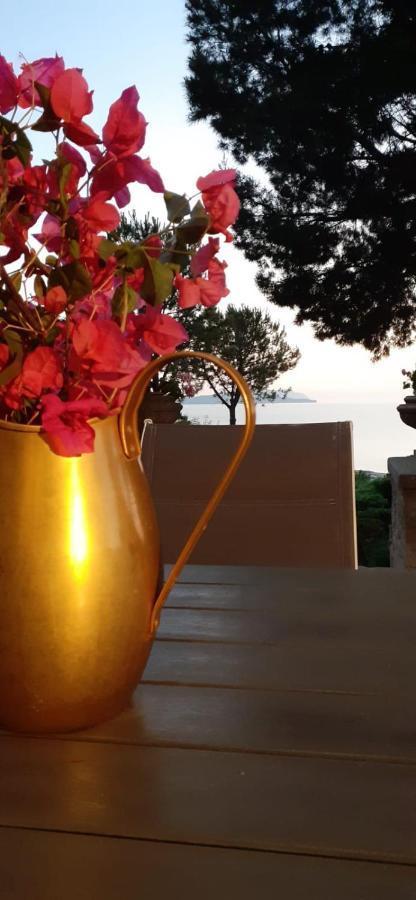 Villa Casa "Le Terrazze" Erice Exterior foto
