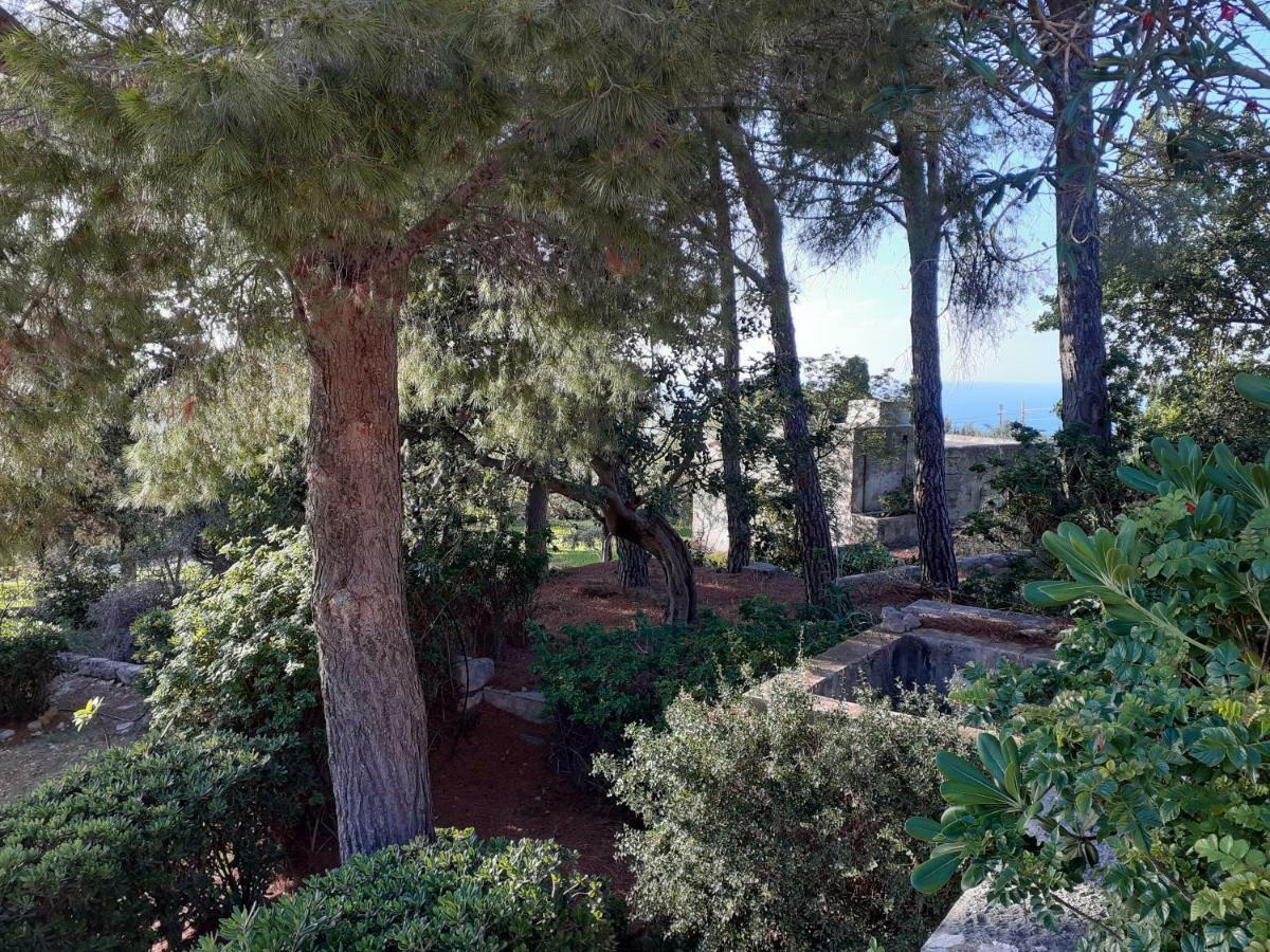 Villa Casa "Le Terrazze" Erice Exterior foto